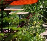 The Blue Bird Garden